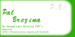 pal brezina business card